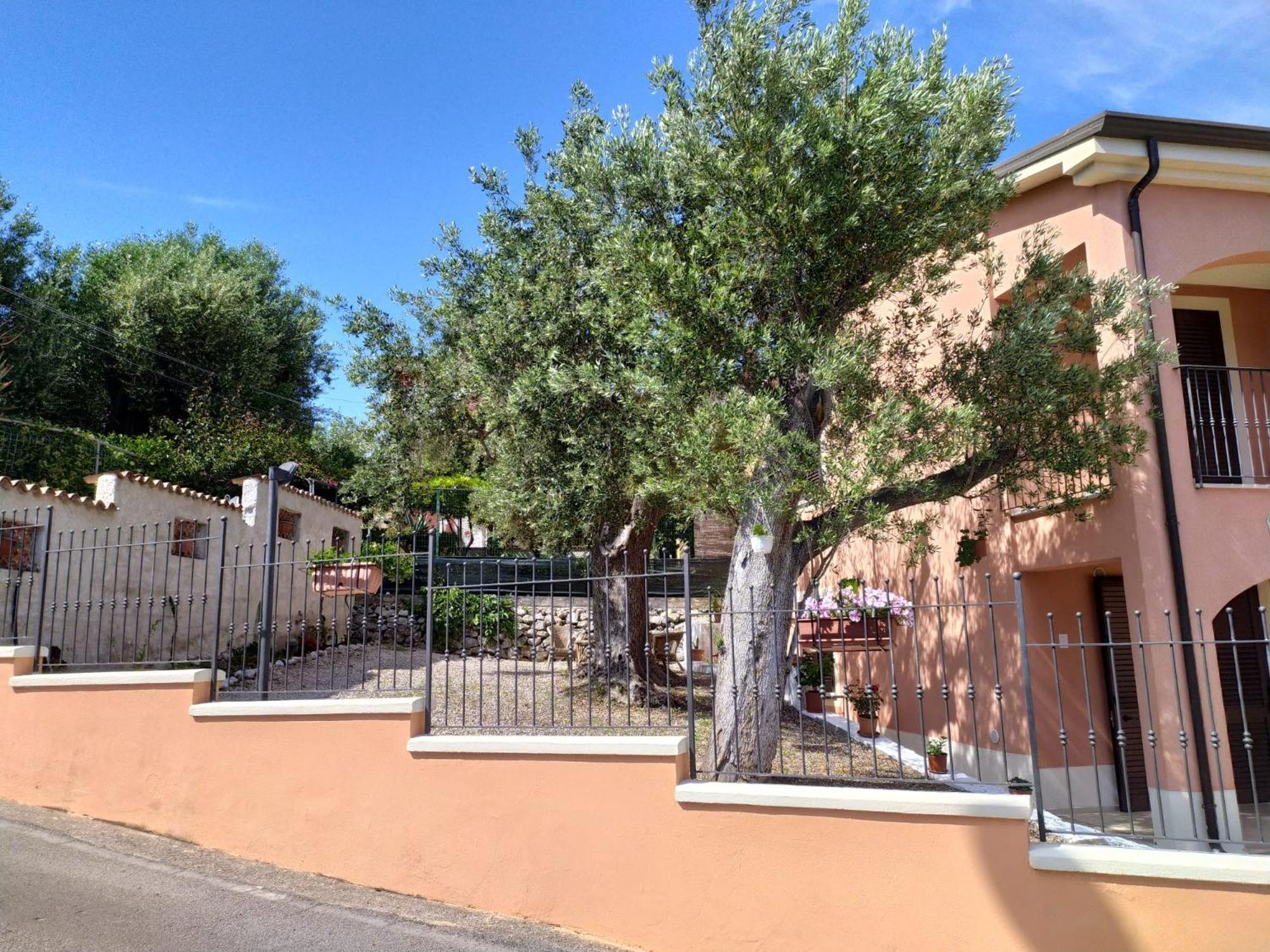 Residence Russo Marina di Camerota Εξωτερικό φωτογραφία